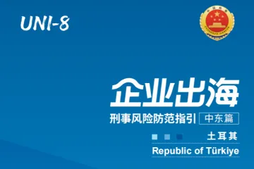 2026企业出海刑事风险防范中东篇土耳其