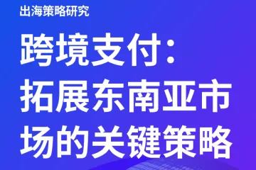 Airwallex空中云汇2025跨境支付拓展东南亚市场的关键策略报告24页