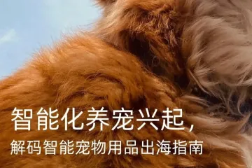 西窗科技智能化养宠兴起 解码智能宠物用品出海指南