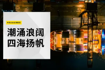 第一太平戴维斯：2024中资企业出海报告