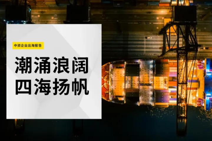 第一太平戴维<em>斯</em>：2024中资企业出海报告
