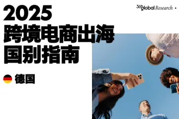 2025年跨境电商出海国别指南德国