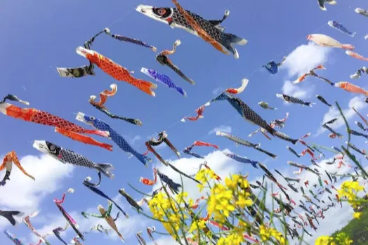 海关清关：节日商品入境日本的合规技巧