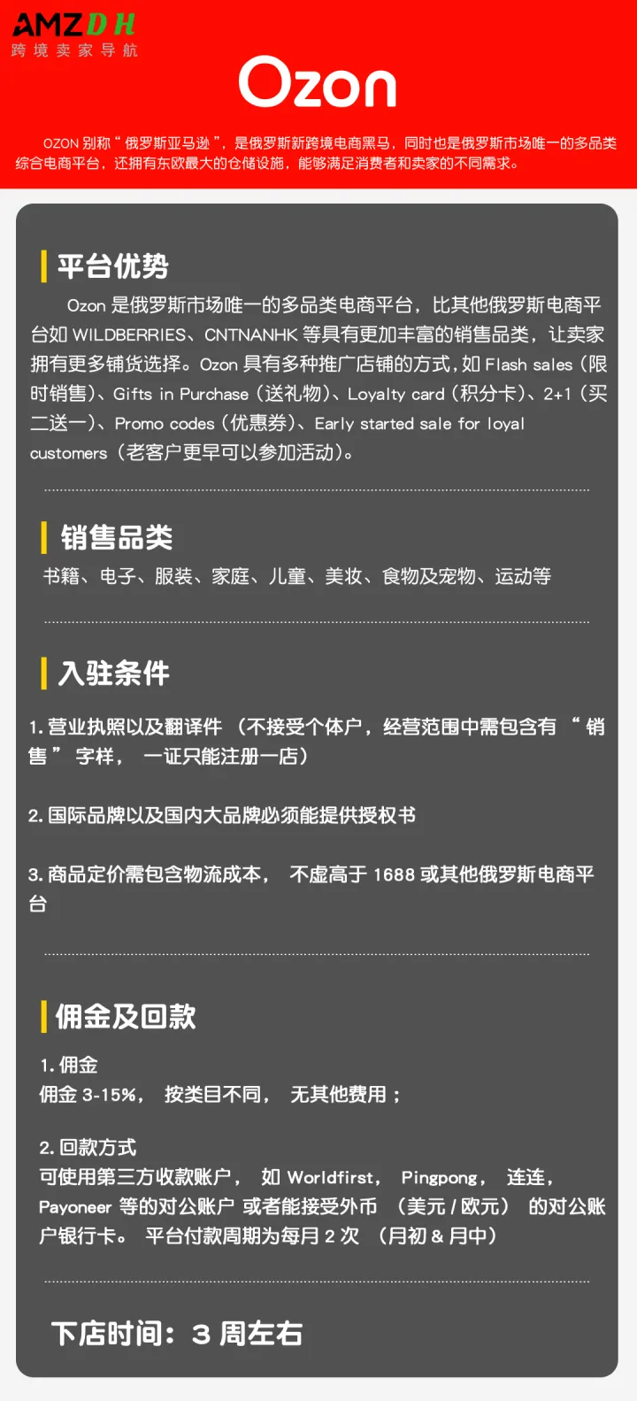 Ozon 开店陪跑