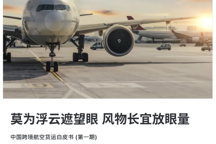 罗兰贝格:2022中国跨境航空货运白皮书 (第一期)(20页)
