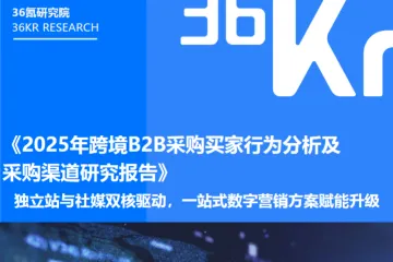 36氪研究院2025年跨境B2B采购买家行为分析及采购渠道研究报告35页
