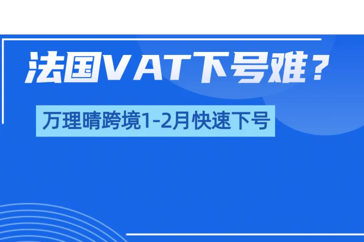 法国VAT下号难？背后的多重因素与应对策略