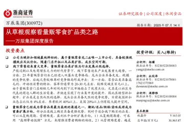 浙商证券:万辰集团—公司深度报告从草根观察看量贩零食扩品类之路