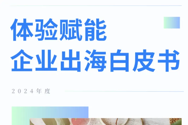 体验家XMPlus:2024体验赋能企业出海白皮书(29页)