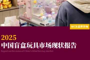 嘉世咨询:2025中国盲盒玩具市场现状报告