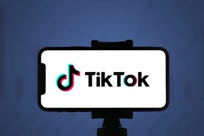 GMV Max实战秘籍：从起量到放量的完整操作指南