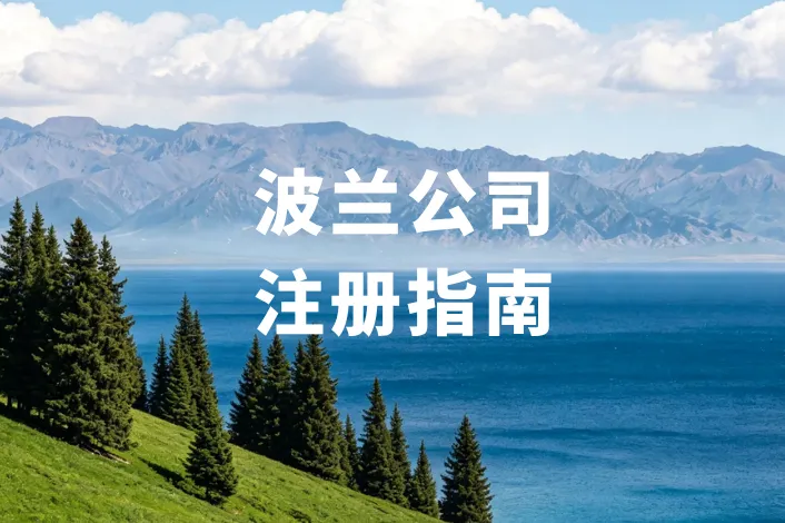 波兰公司注册完，你漏了哪一步？