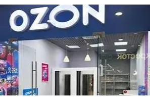 OZON的淘代销是什么