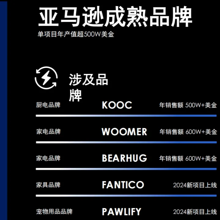 亚马逊纯佣双选联合运营（无基础服务费）