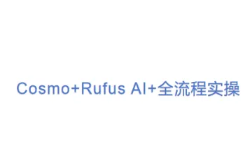 Cosmo+Rufus AI+全流程实操