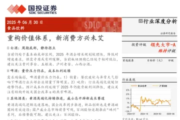 食品饮料行业深度分析重构价值体系新消费方兴未艾-25063027页