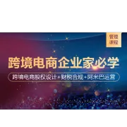 跨境电商老板必学的企业管理课|股权+财税+阿米巴落地实战