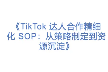 《TikTok 达人合作精细化 SOP：从策略制定到资源沉淀》