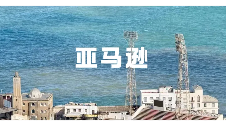 亚马逊涉税报送大变天！境外主体也被查，卖家该如何应对？