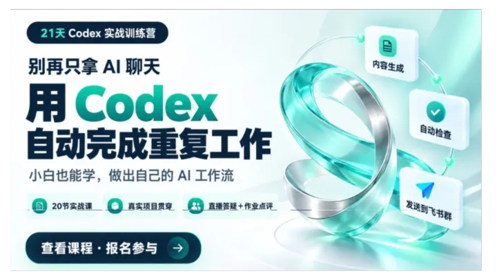 Codex 从认知到应用