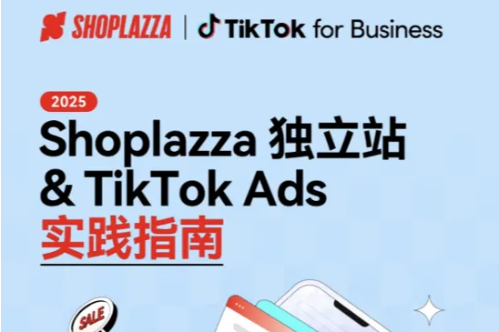 独立站+TikTok Ads&lt;em&gt;实践&lt;/em&gt;&lt;em&gt;指南&lt;/em&gt;