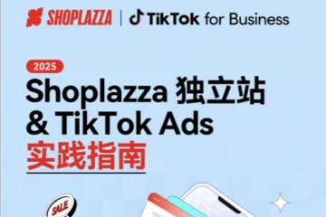 独立站+TikTok Ads实践指南
