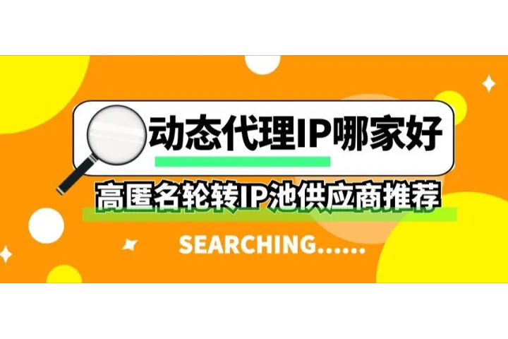 2026年动态代理IP哪家好？高匿名轮转IP池供应商推荐
