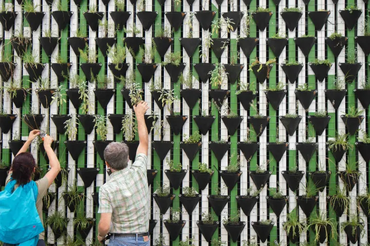 出海观察|全球草坪和花园市场分析及趋势预测