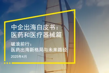 安永2025中企出海白皮书医药和医疗器械篇38页