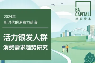 黑蚁资本：2024新时代的消费力蓝海活力银发人群消费需求趋势研究报告