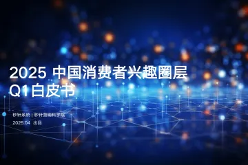 2025年中国消费者兴趣圈层Q1白皮书
