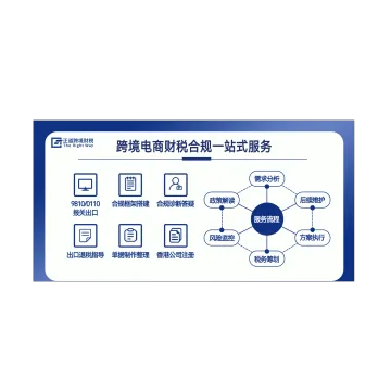 跨境电商财税合规0110/9810陪跑指导
