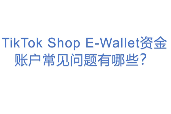 TikTok Shop E-Wallet资金账户常见问题<em>有</em><em>哪些</em>？