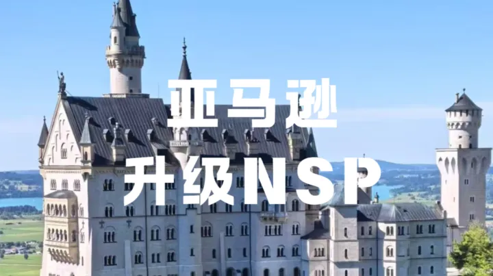 亚马逊2026升级版NSP计划，如何大幅降低新品测款成本？
