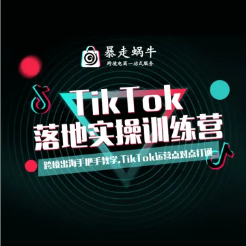 TikTok落地实战训练营