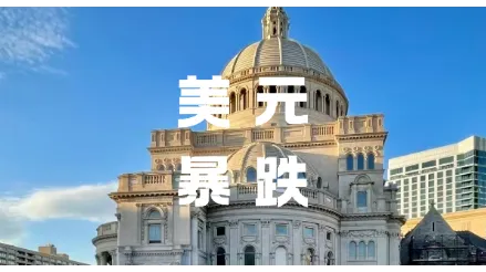美元狂跌、利润腰斩！跨境卖家如何守住钱袋子？