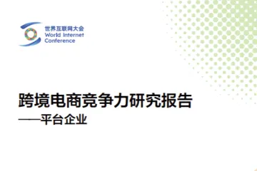 世界互联网大会2024跨境电商竞争力研究报告-平台企业