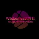 Wildberries（野莓）跨境店好做吗？如何回款？