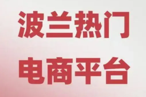 Allegro放大招！平台自掏腰包补贴，商家零成本获取“泼天流量”