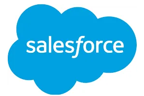 如何使用 Salesforce 搜索功能