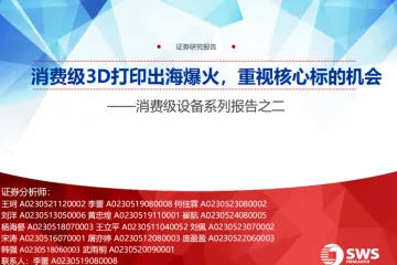 消费级设备行业系列报告之二：消费级3D打印出海爆火重视核心标的机会