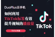 TikTok进阶指南：如何用TikTok标签提升你的视频播放量？