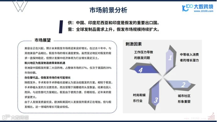 《2024全球假发市场洞察报告》解读：时尚与功能兼备的繁荣景象