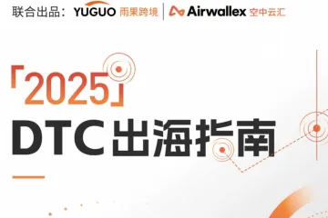 雨果跨境：2025DTC出海指南