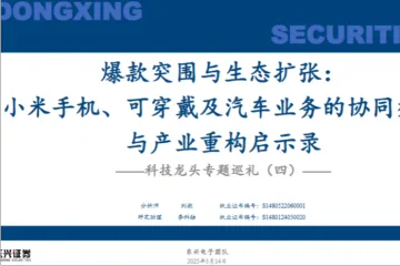 科技行业龙头专题巡礼四爆款突围与生态扩张小米手机可穿戴及汽车业务的协同效应与产业重构启示录-25031432页