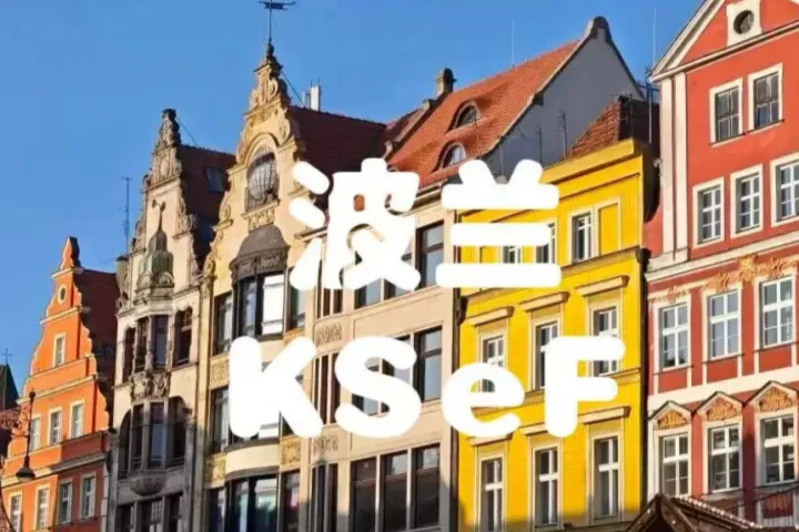 波蘭KSeF電子發(fā)票監(jiān)管升級！未合規(guī)企業(yè)被稅局定向聯(lián)系