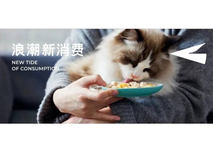 单品卖出1300万包，是谁悄悄让猫咪吃上了乳鸽？