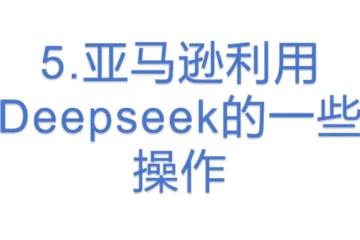 5.亚马逊利用Deepseek的一些操作