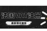 法国VAT税号注册，两周可下号。中国公司注册法国VAT。自行注册法国VAT教程