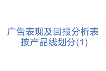 广告表现及回报分析表 - 按产品线划分(1)